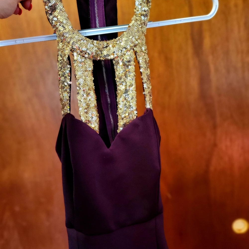 Beautiful Plum and gold sequin dress.